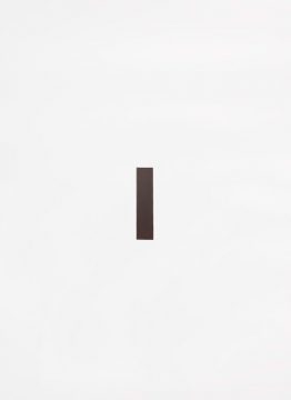 estoraque Veneer Brick 1